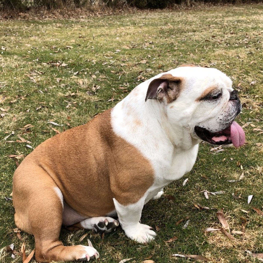 Meet your Posher, Brad